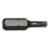 #009-000T20 – T20 Torx Insert Bit, 1″