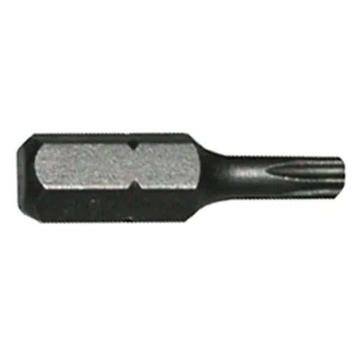 #009-000T20 – T20 Torx Insert Bit, 1″